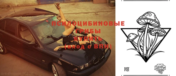 стафф Беломорск