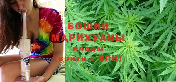 винт Богданович