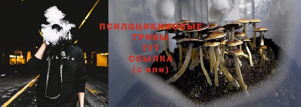 винт Богданович