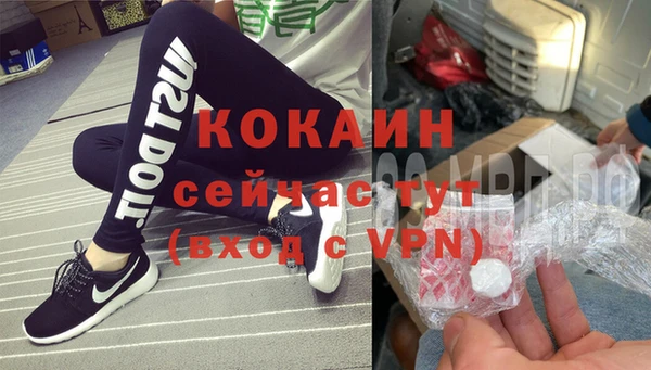 винт Богданович