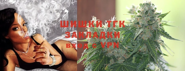 винт Богданович
