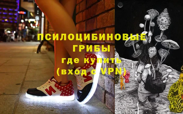винт Богданович
